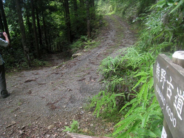 【奈良県内発】 語り部ガイドと歩く 世界遺産 熊野古道中辺路ウォーク1
